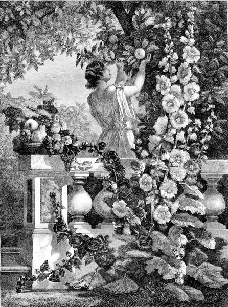 1861 Exposição Pintura Jovem Colhendo Frutas Painel Pintado Ilustração Gravada — Fotografia de Stock