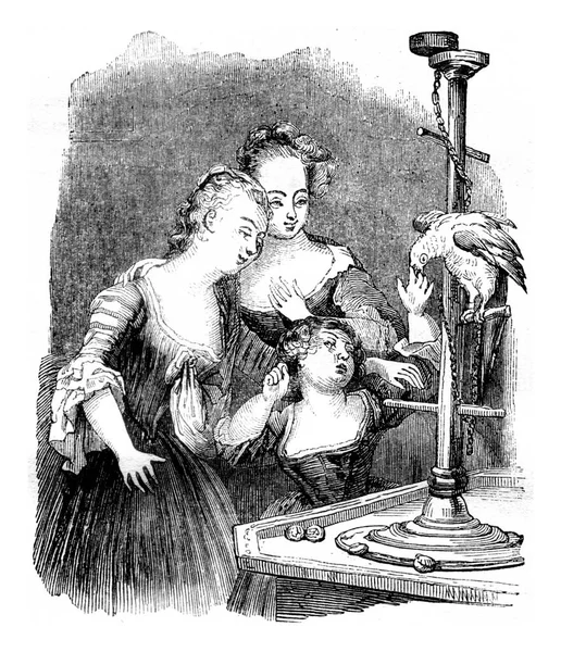 Young Girls Papoušek Starobylá Rytá Ilustrace Magasin Pittoresque 1841 — Stock fotografie