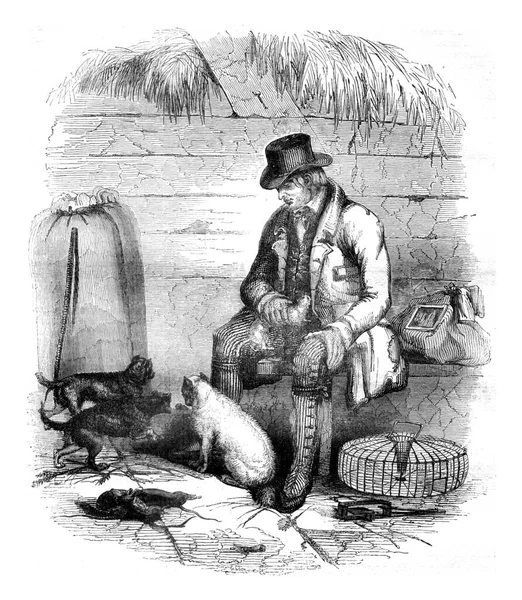Łowca Szczurów Anglia Ryta Ilustracja Pittoresque 1841 — Zdjęcie stockowe