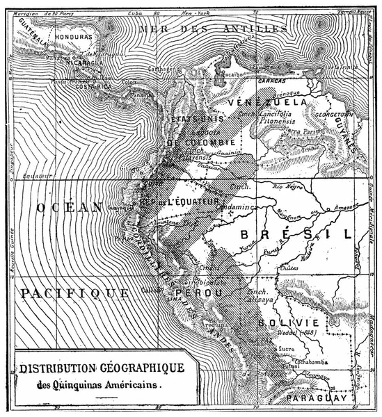 Distribuição Geográfica Quinino Americanos Ilustração Gravada Vintage Enciclopédia Industrial Lami — Fotografia de Stock