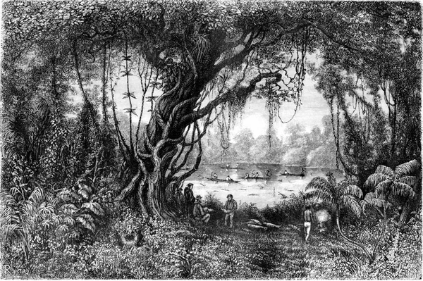 Рыбалка Озере Плата Винтажная Иллюстрация Tour Monde Travel Journal 1865 — стоковое фото