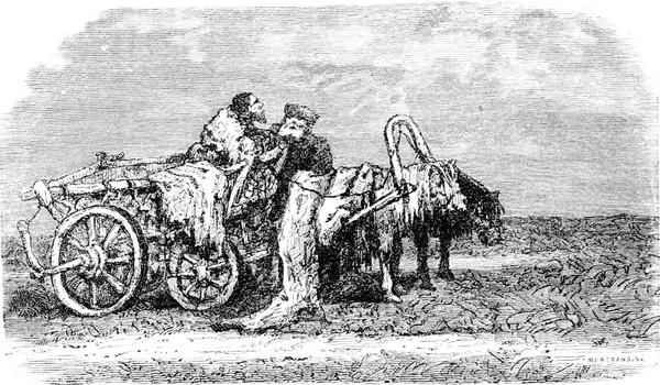 Telega Ruhe Estland Illustration Mit Gravur Tour Monde Reisetagebuch 1865 — Stockfoto