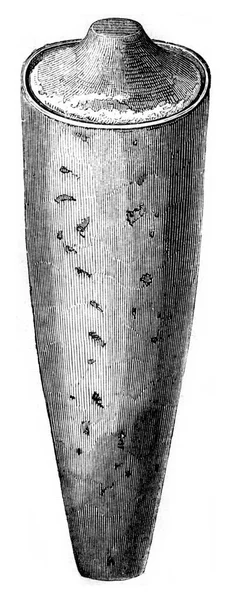 ミイラを含む土鍋 ヴィンテージの刻まれたイラスト Magasin Pittoresque 1852 — ストック写真