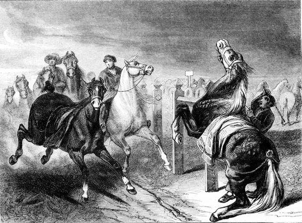 Exposição 1852 Uma Cena Cavalos Marche Ilustração Gravada Vintage Magasin — Fotografia de Stock