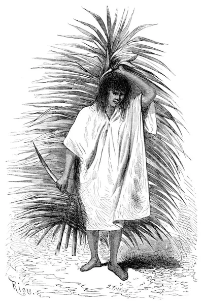 Man Carrying Palm Frond Knife Vintage Engraved Illustration Tour Monde — Stock Photo, Image