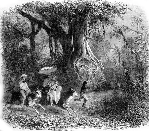 바라카 근처의 풍경에는 포도를 그림이 새겨져 있습니다 Magasin Pittoresque 1857 — 스톡 사진