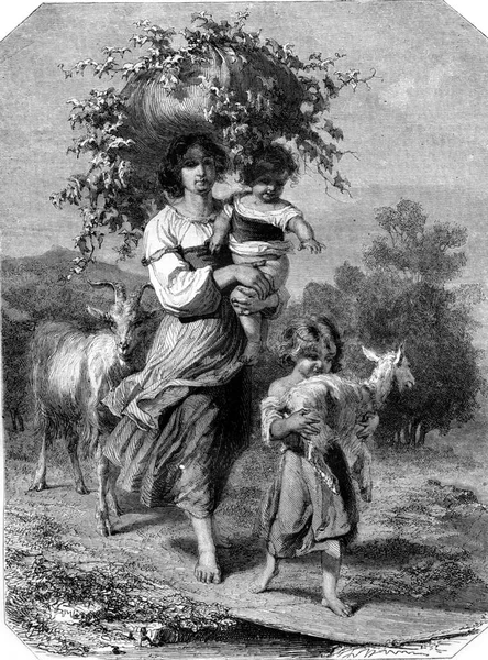 Tavola Van Muyden Illustrazione Incisa Vintage Magasin Pittoresque 1857 — Foto Stock