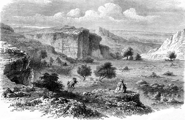 泰利萨吉雕刻岩石概况 老式雕刻图解 Magasin Pittoresque 1858年 — 图库照片