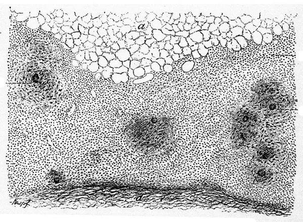 Abstrakter Hintergrund Monochrome Textur Bild Einschließlich Wirkung Der Schwarz Weiß — Stockfoto