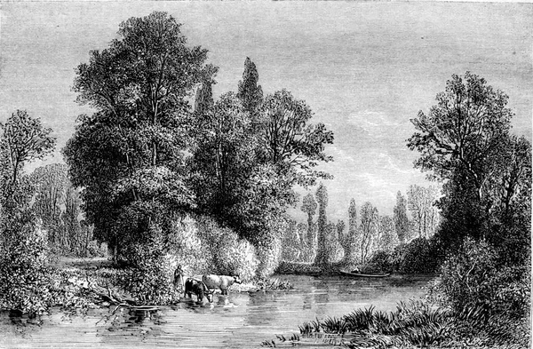 1861 Deki Sergi Troyes Yakınlarındaki Saint Julien Bulunan Banks Seine — Stok fotoğraf