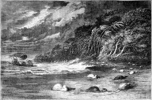 ウカイリ川のゲイル ヴィンテージの刻まれたイラスト Tour Monde Travel Journal 1865年 — ストック写真