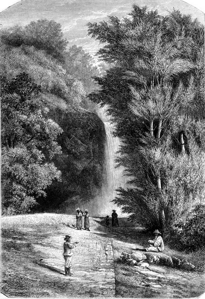 Cascade Botaniska Trädgården Saint Pierre Martinique Vintage Graverad Illustration Magasin — Stockfoto