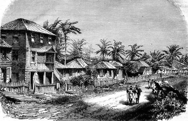 Villaggio Tropici Illustrazione Incisa Epoca Magasin Pittoresque 1876 — Foto Stock