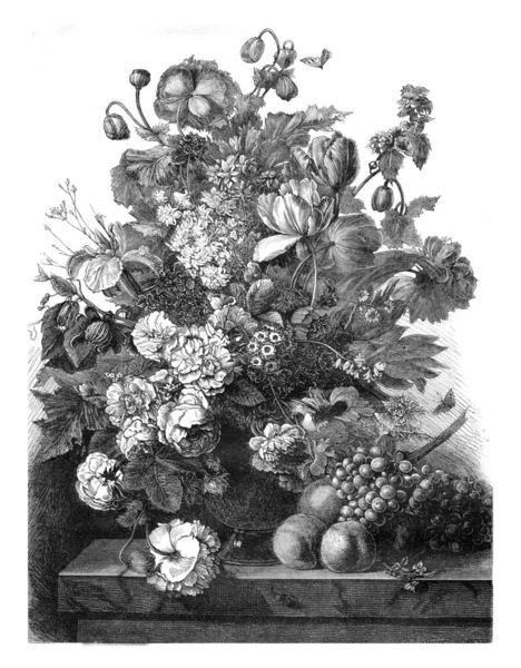 Gallery Rothan Fiori Frutta Van Dael Illustrazione Incisa Epoca Magasin — Foto Stock