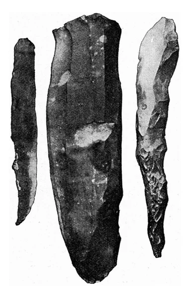 带有剥落的核仁 老式雕刻的图解 1910年来自宇宙与人类 — 图库照片