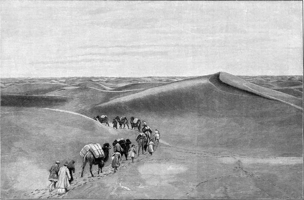 中央アジアの砂漠のラクダキャラバンで商品の輸送 ヴィンテージの刻まれたイラスト 1910年宇宙と人類から — ストック写真