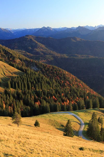 Luz Otoño Las Montañas Bavarianas Con Bosque — Foto de Stock