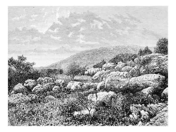 Mount Gerizim Israel Vintage Graverad Illustration Tour Monde Travel Journal — Stockfoto