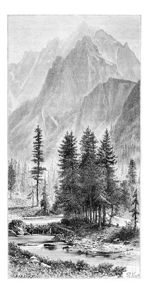 Wysoka Valley Ganek Peak Pieniny Mountains Polen Tekening Van Vuillier — Stockfoto