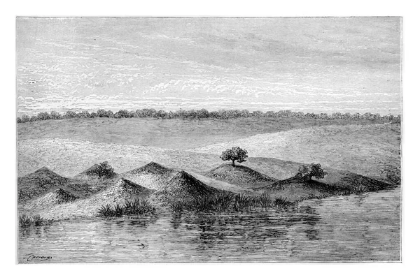 Termite Mounds Southern Africa Covered Vegetation Engraving Based English Edition — Stock Photo, Image