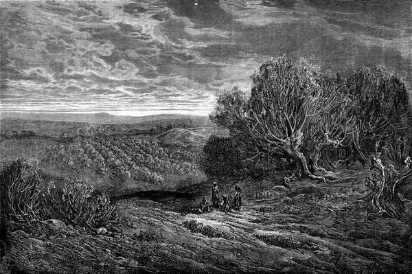 橄榄林 萨拉戈萨战役 古老的雕刻插图 Tour Monde Travel Journal 1872 — 图库照片