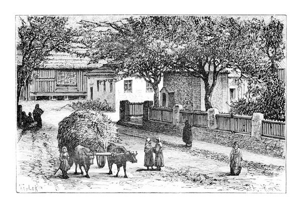 佐治亚州祖格迪迪的一条街 泰勒根据Ermakoft的一张照片绘制 古老的插图 Tour Monde Travel Journal 1881 — 图库照片