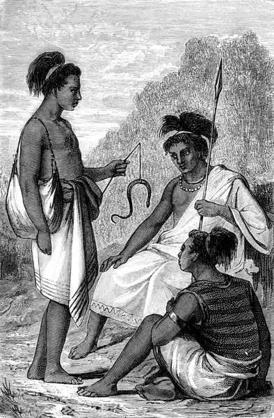 Scène Landschap Timor Vintage Gegraveerde Illustratie Tour Monde Reisjournaal 1872 — Stockfoto