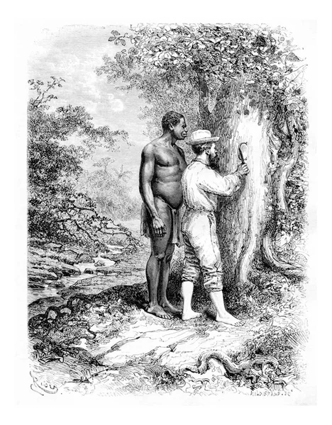 巴西Oiapoque一棵树上的雕刻首字母 由Riou从Crevaux博士的草图中提取 古老的雕刻插图 Tour Monde Travel Journal 1880 — 图库照片