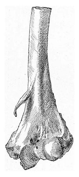 Ilustracja Starego Zardzewiałego Żuka — Zdjęcie stockowe