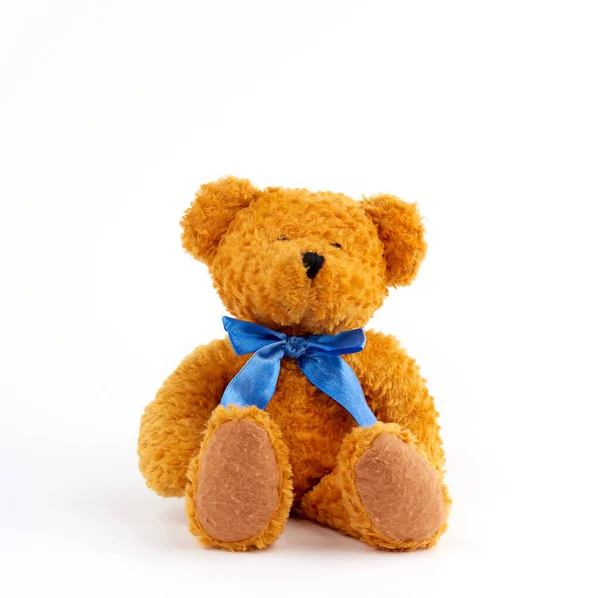 Cute Brown Teddy Bear Blue Bow His Neck Isolated White — Stock Photo, Image