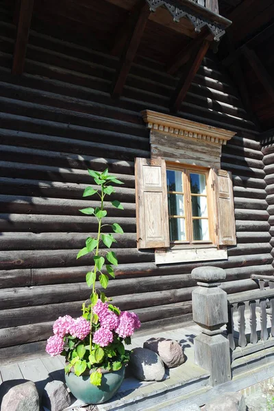 Деревянный Дом Окном Белой Дверью — стоковое фото