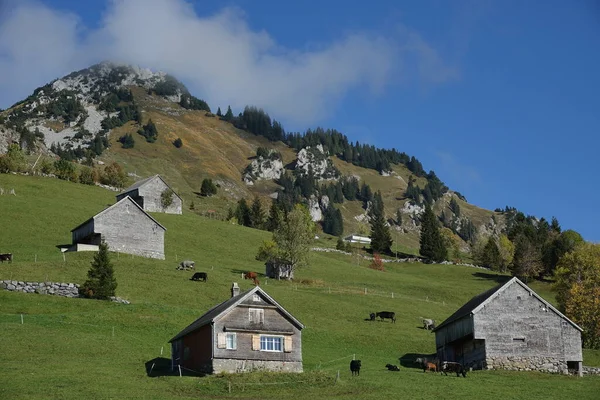 Huizen Huizen Steil Terrein Bergen Van Zwitserland Bij Amden Boven — Stockfoto