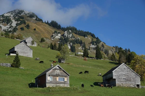 瓦伦塞河畔Amden附近瑞士山区陡峭地形中的棚屋和房屋 — 图库照片