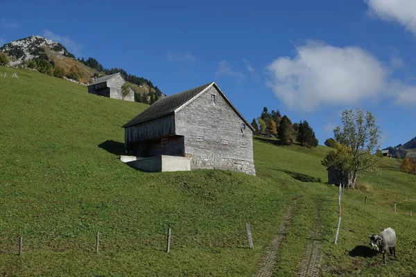 ヴァレンゼーの上のアムデン近くのスイスの山の中の急な地形に小屋や家 — ストック写真