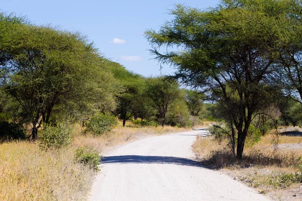 Safari Africano Camino Tierra Parque Nacional Tarangire Tanzania Paisaje África — Foto de Stock