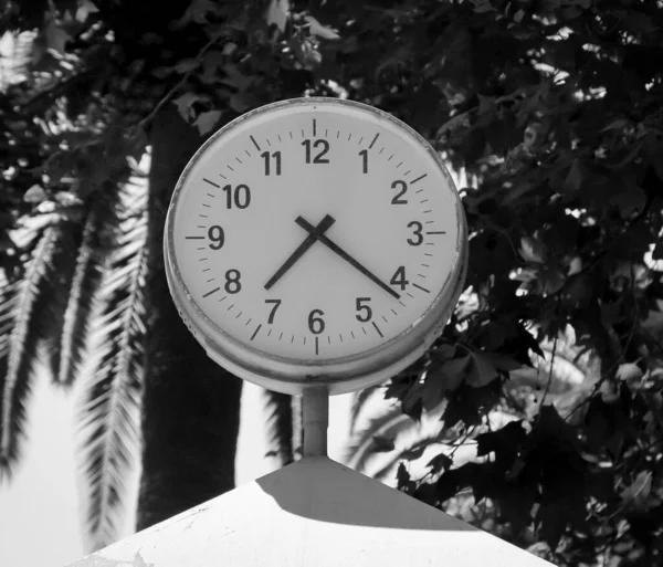 Public Clock Fixed Trees Roof — Stock Photo, Image