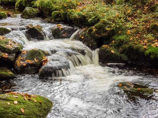 Hermosa Cascada Bosque — Foto de Stock