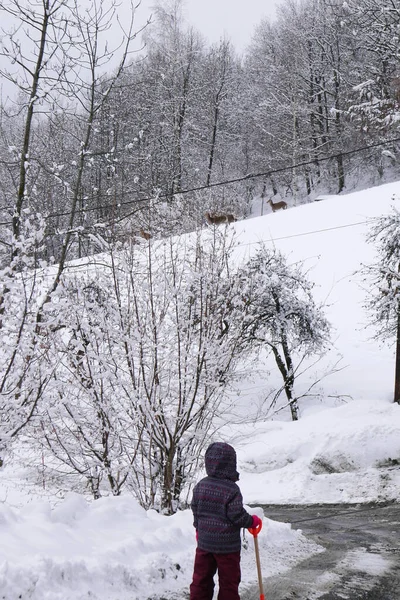 Διακοπές Στους Πρόποδες Του Mont Blanc Χειμώνα Στην Κοιλάδα Chamonix — Φωτογραφία Αρχείου