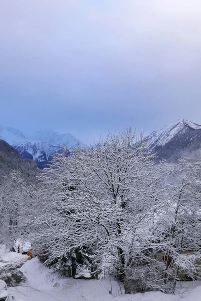 Vacaciones Pie Del Mont Blanc Invierno Valle Chamonix Francia — Foto de Stock