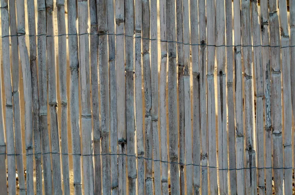 Detalj Integritetsskärm Gjord Rör Halm Eller Bambu Textur — Stockfoto