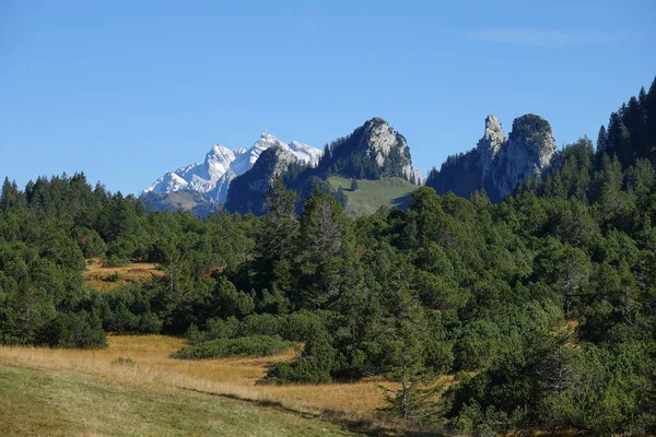 Une Tourbière Surélevée Dans Les Montagnes Suisse Près Amden Sur — Photo