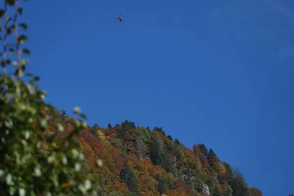 瑞士瓦伦塞附近秋日山林上空的救援直升机 — 图库照片