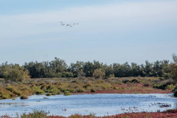 Bella Vista Sulla Natura — Foto Stock