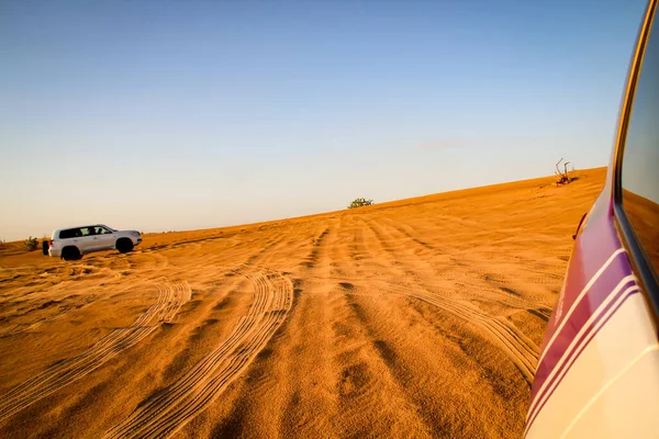 Pedazo Desierto Con Dunas Arbustos Individuales Sol Noche — Foto de Stock