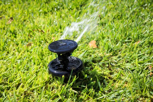 Extendable Lawn Sprinkler Action — Stock Photo, Image