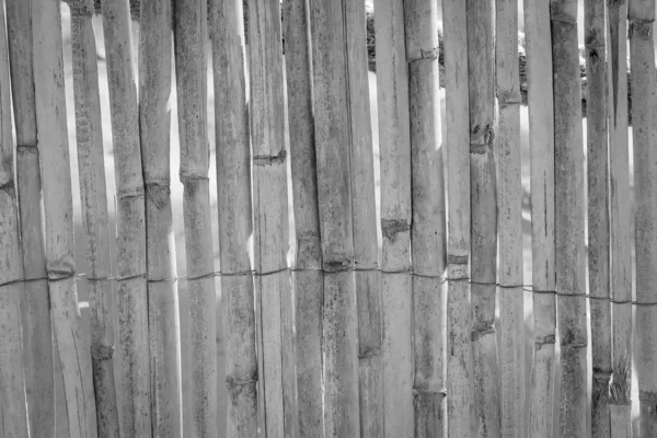 Detalhe Uma Tela Privacidade Feita Tubo Palha Bambu Textura — Fotografia de Stock