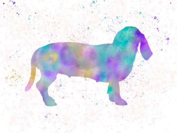 Watercolor Illustration Horse — Stock Photo, Image