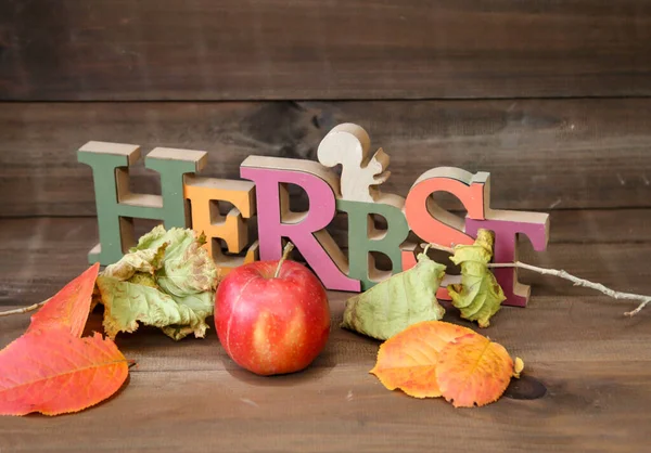 Una Decoración Para Otoño Con Hojas Coloridas — Foto de Stock