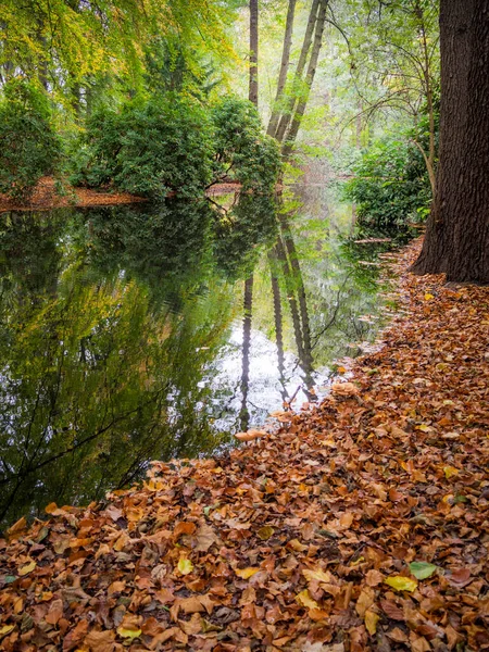 Paesaggio Autunnale Berlino Tiergarten Parco Con Laghetto — Foto Stock