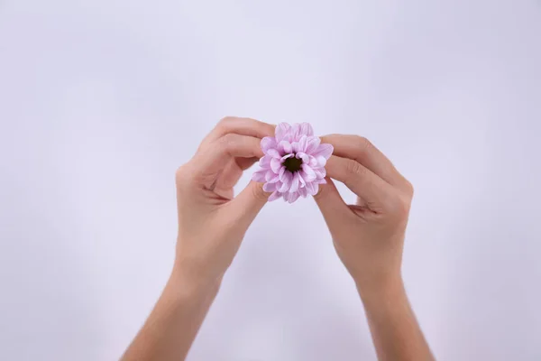 Vista Frontal Una Mujer Sosteniendo Una Pequeña Flor Rosa Entre —  Fotos de Stock